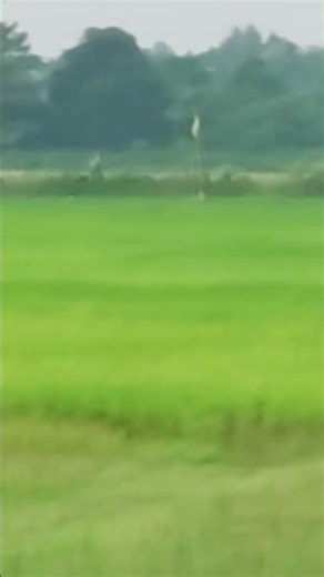 20x Zoom Power #cameratest