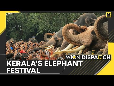 India: Unique Elephant Feeding Ceremony in Kerala | Over 60 Elephants Participated | WION Dispatch