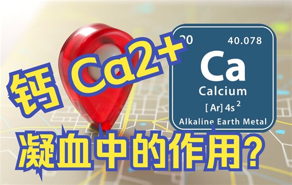 凝血机制：钙Ca2+（IV因子）在凝血中的作用（定位于连接）