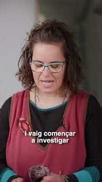 TRAJECTÒRIA NINSSA 01 SUBS