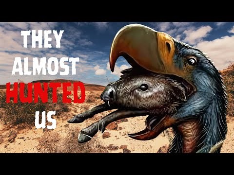 When Humans Almost Faced Prehistoric Terror Birds