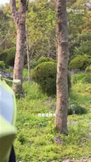 愚樂新鮮事｜微博白敬亭工作室 2026.04.01