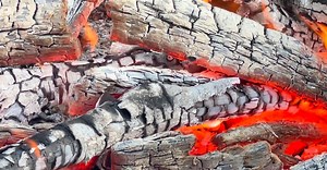 Video by Jessica Lewis 🦋 thepaintedsquare on Pexels