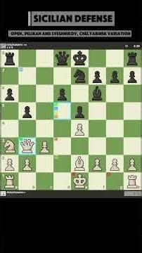 Sicilian Defense: Open, Pelikan & Sveshnikov, Chelyabinsk Variation. Real human-like chess AI engine
