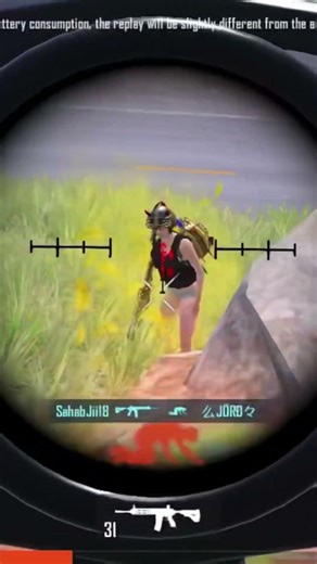 Quick reflex 4x scope death circle.