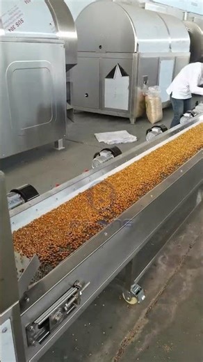 CE-Certified Fully-Automatic Continuous Corn Roasting Production Line for Large Scale Production