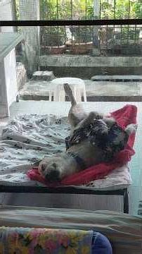 This has happened to me before. I couldn't get all the fluid out, so it was itchy. But when Mom s...