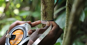 The Healthy Forest Landscapes (HFL) approach - Earthworm