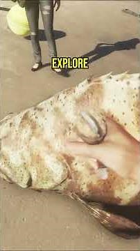 How HARD is STRANDED DEEP?