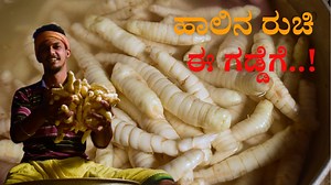 883K views · 16K reactions | How to make arrowroot powder | Bhat‘n'Bhat | Facebook