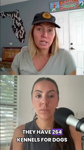 Shelter Overcrowding: What’s Really Happening at ACPS