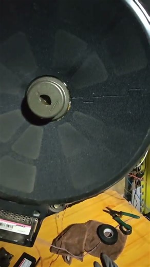 Bose 12in sub ffrom Audi