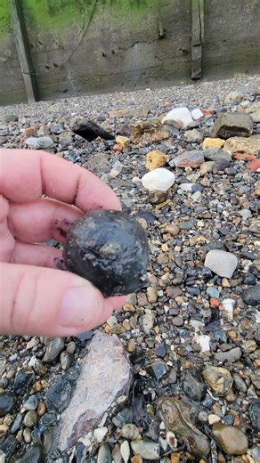 Cannon Shot Mudlarking the River Thames Best Finds #metaldetecting #beachcombing #london #treasure