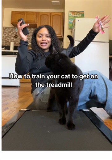 How to Train Your Cat to Use a Treadmill