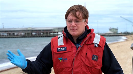 Environmental Protection Authority asks Victorians to check water quality before swimming in Port Phillip