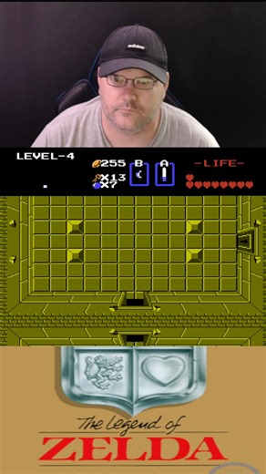 The Legend of Zelda Level-4 and acquiring The Ladder | Mangrich1 Gaming