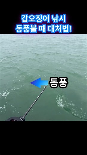 갑오징어 활성도 떨어져도 잘 잡는 법 #갑오징어 낚시 # 갑오징어 #쭈꾸미낚시 #쭈갑낚시 #낚시꿀팁 #fishing #활성도