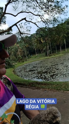 LAGO DA VITÓRIA RÉGIA - Canal Bicho Esperto 🦥 🇧🇷