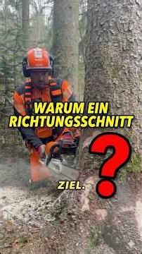 Why a directional cut when felling a tree? #forestry #forest #treefelling
