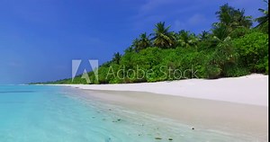 Revealing shot of a breathtaking tropical island with tall palm trees, green vegetation and perfectly calm turquoise waters on the shore in the Barbados, Caribbean 4K