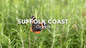 2.3K views · 29 reactions | Arguably one of the prettiest villages on...