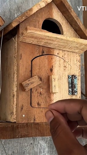 Check out the bird's nest #animals #OMG #reels #viral #trending #explore #Amazing