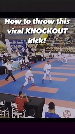 How to throw the 360 hook kick from this viral KO! @scorpionfightingsystem #knockout #ko #tutorial #howto #karate #taekwondo #mma #martialarts #kicks #highkick #bjj #judo #kickboxing #kungfu #boxing #blackbelt #fitness #tangsoodo #scorpionfightingsystem