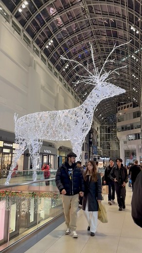 Toronto Eaton Centre tree lighting Ceremony 🇨🇦🎄🎄 🎄🎄🎄🎄🎄🎄🎄🎄🎄🎄🎄⛄️ #toronto #eatoncentre #canada🍁💕 Here are schedules for Christmas tree lighting ceremonies in the Greater Toronto Area (GTA) for 2025: Toronto: 1. Cavalcade of Lights Date: Saturday, November 29, 2025 Time: 6:00 to 11:00 p.m. (tree lighting at 6:30 p.m.) Location: Nathan Phillips Square 2. Fairmont Royal York Annual Tree Lighting Ceremony Date: Wednesday, November 19, 2025 Time: 4:30 p.m. Location: Fairmont Royal York