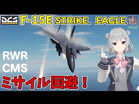 【DCS解説】F-15E RWR / チャフ / フレア 実践チュートリアル！