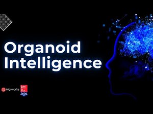 What is Organoid Intelligence (OI)? | Algoworks