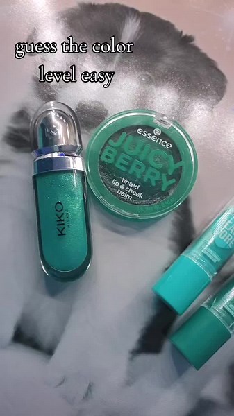 Guess the Color Challenge: Easy Level Fun!