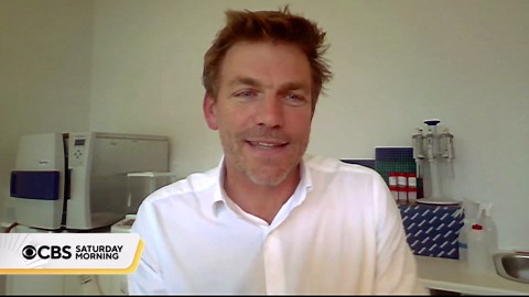 How honeybees can be used to collect environmental data