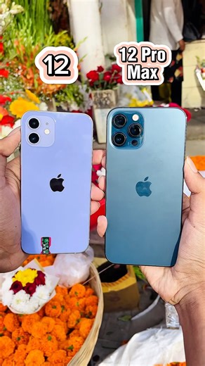 iPhone 12 Vs iPhone 12 Pro Max || Camera Zoom Test! #shrots #shortvideo