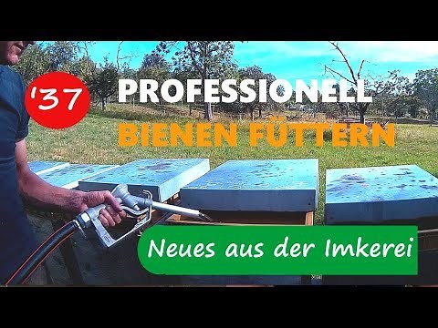 Bienenvölker professionell und richtig einfüttern - Neues aus der Imkerei#37