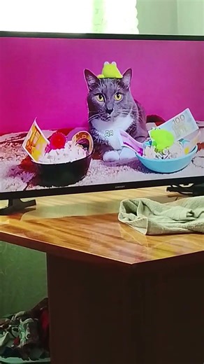 Among us cats #memes