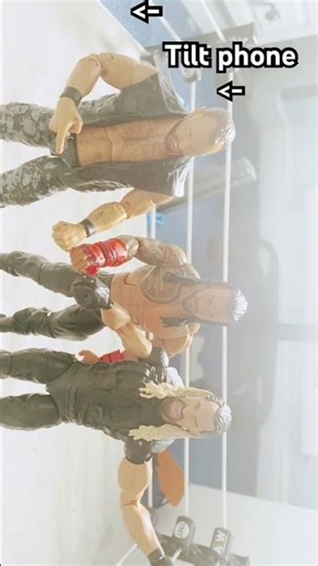 The shield action figures! #wwe #wwefan #wrestling #aew