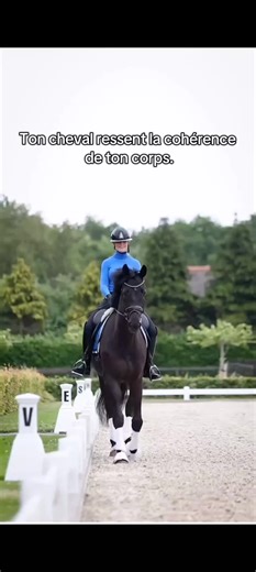 Il ne répond pas à un détail, mais à l’ensemble de ton organisation. Quand le corps est désorganisé, le cheval hésite ou se protège. Quand il est cohérent, le cheval se pose. Mon PDF explique comment retrouver cette cohérence corporelle. 👉 Découvre cette approche via le lien en bio. #postureequitation #cavaliere #ressentiecavalier #connexioncheval #equitation