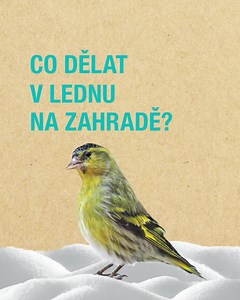 Zahrada zatím pořád spí, ale ty nemusíš! Tady je pár tipů, jak na to: 🪴 Zkontroluj stromy a keře – Odstraněním těžkého sněhu ochráníš větve před zlomením. 🪴 Naplánuj další sezónu – Otevři diář nebo Gardena Planner a připrav se na jaro. 🪴Pečuj o nástroje – Nůžky a nářadí potřebují lásku (a ostré hrany). Zahrada si odpočine, ty ne! 🌱💪 | GARDENA