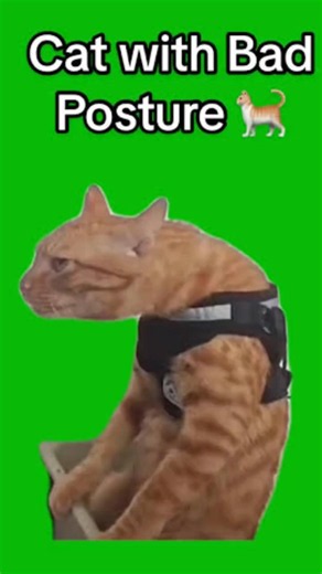 perfect posture