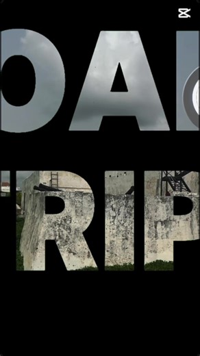 Exciting Excursion Highlights