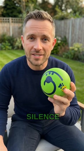 **Make playtime loud and silly** Tired of toys that flop after five minutes? Watching your pup chase something that jiggles and squeaks brings them alive and gives you a break from boredom. Wobble Wag Giggle Ball - $25.99 makes play sessions longer and happier, so your floors stay cleaner and your dog sleeps better. Applies to Pet Provisions: a playful pick that keeps pets active and homes calmer. - Ready to shop? Check out the link in our bio! #WobbleWag #GiggleBall #DogToy #PetPlaytime #Active