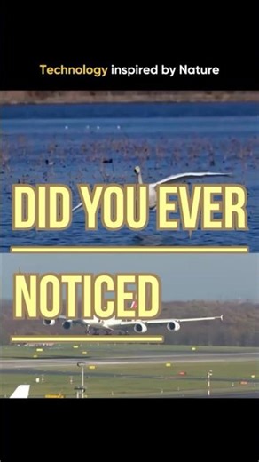 Technology from nature