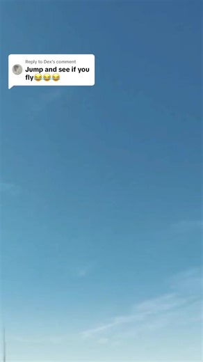 Exploring Helicopter Avatars in VRChat Community