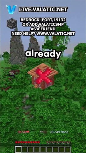 What can you find on my Minecraft Earth SMP