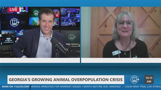 Nonprofit unveils roadmap to tackle pet overpopulation