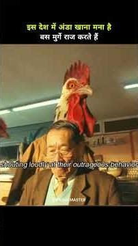 In a Land Without Eggs, Roosters Hold Absolute Power 🐔👑🥚#viral #shorts #Story"