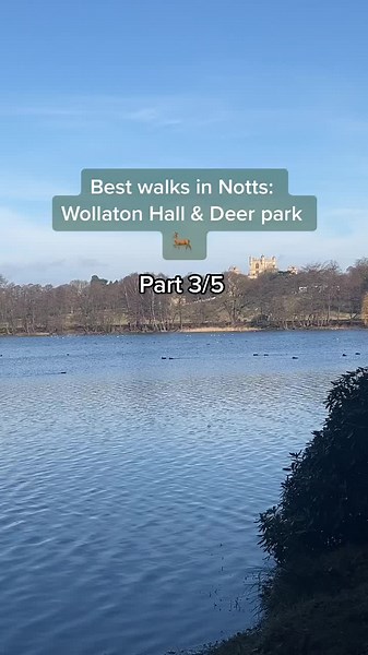 Nottinghamshire Live on TikTok