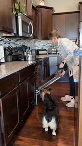 Over 50 years, one mission: safety that blends in, training that stands out. | Invisible Fence Brand