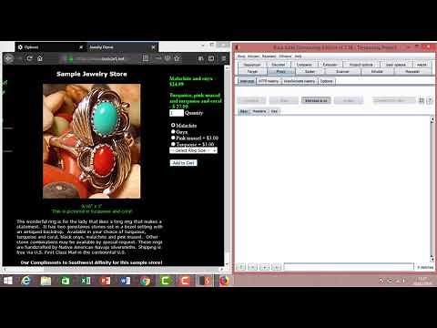 Intercepting and Changing Prices on eCommerce Site using Burp Suite