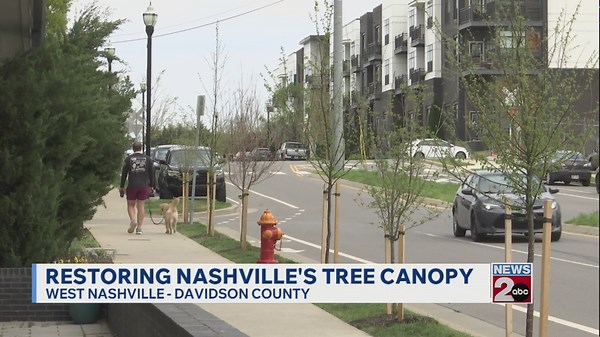 Restoring Nashville's tree canopy